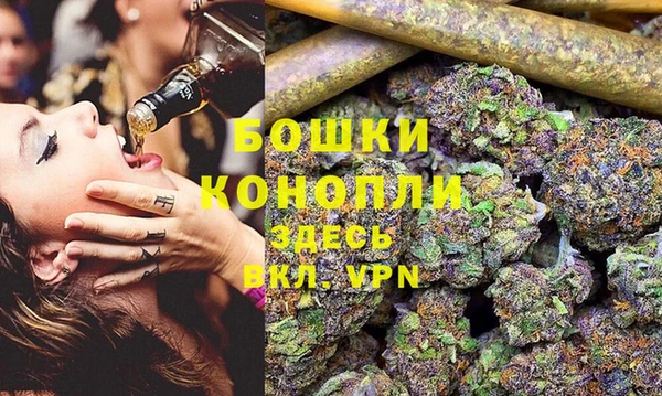 мдпв Переславль-Залесский