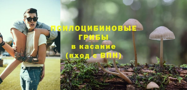 героин Пересвет