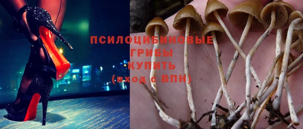 а пвп мука Пестово