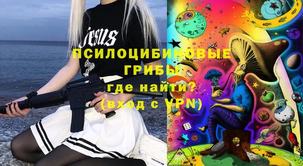 мдпв Переславль-Залесский