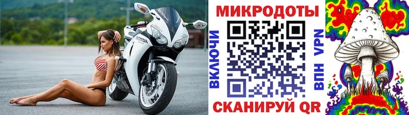 где найти   Тихорецк  Галлюциногенные грибы GOLDEN TEACHER 